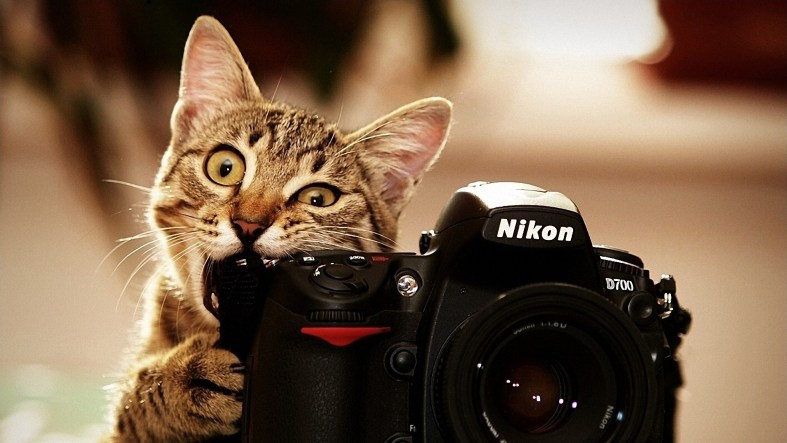 cute-camera-wallpaper